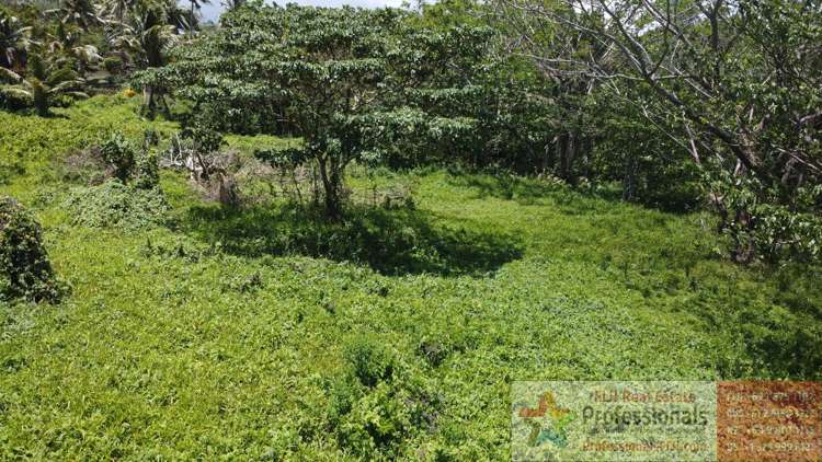 Address withheld Taveuni_5