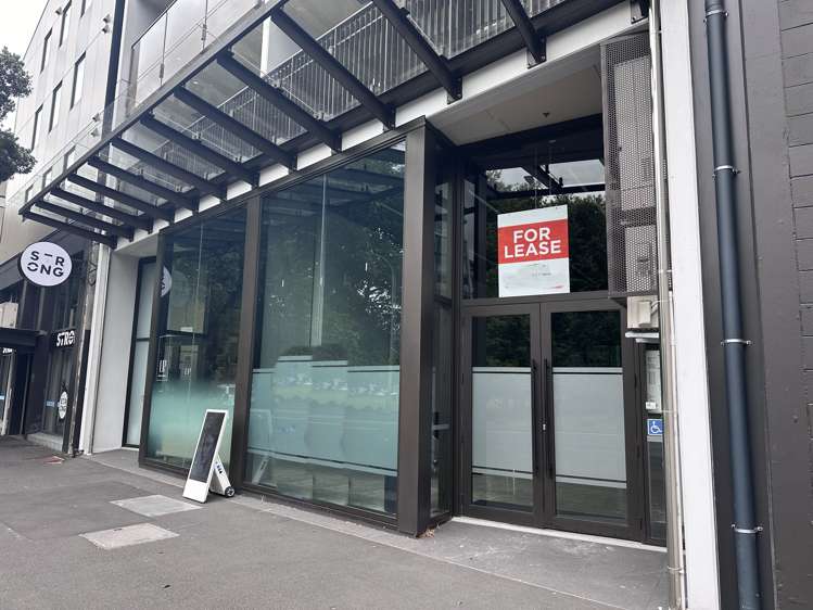 1A Halsey Street Auckland Cbd_1