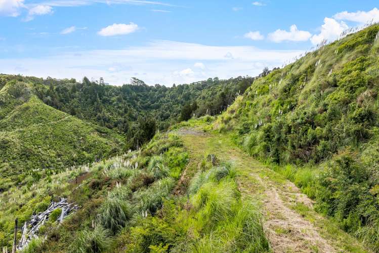 709 Ahuroa Road Puhoi_11