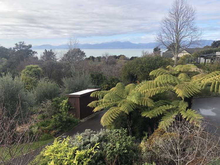 11 Van Beek Place Ruby Bay_10