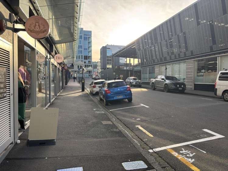 17A College Street Te Aro_4