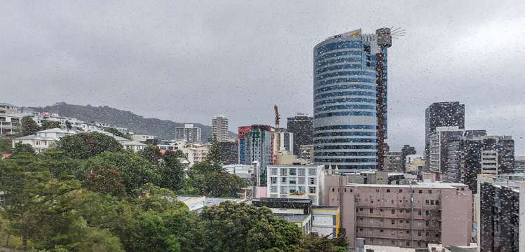81/156 Willis Street Te Aro_3