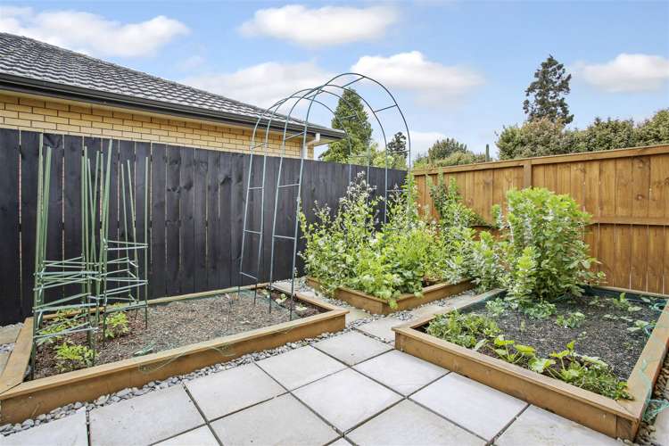 24 Sapling Drive Pukekohe_4