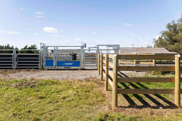 1329 Wards Road Darfield_10