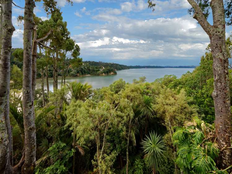 28 Opou Road Titirangi_19