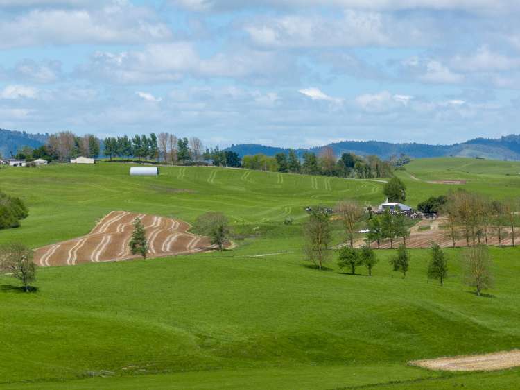 529 Waikokowai Road Huntly_25