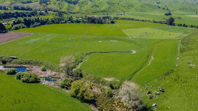 918 Pahiatua Pongaroa Road Pahiatua_2
