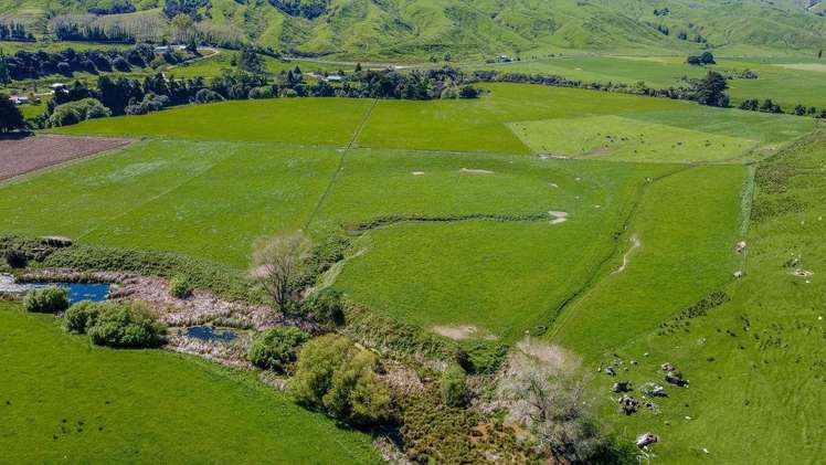 918 Pahiatua Pongaroa Road Pahiatua_2