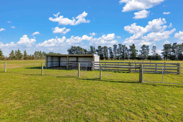 114 Purchas Road Amberley_29