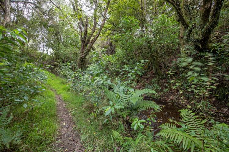 137 Kiritaki Road Dannevirke_7