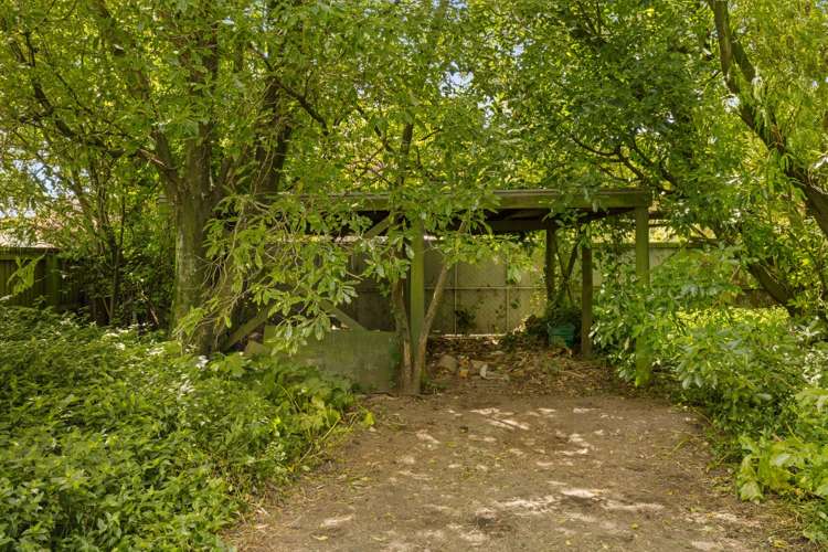 29 Forbes Street Sydenham_22