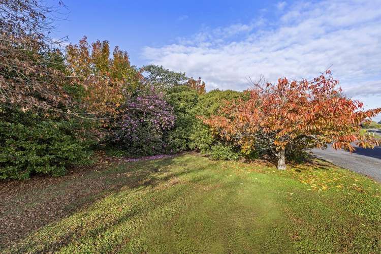 46 Glen Ida Way Tauwhare_45