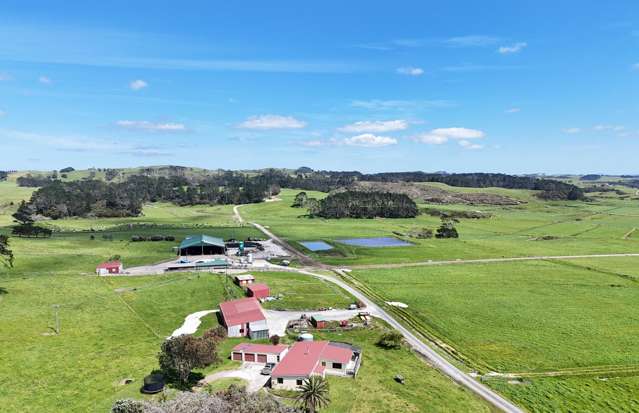 454 West Coast Road Te Kopuru_1