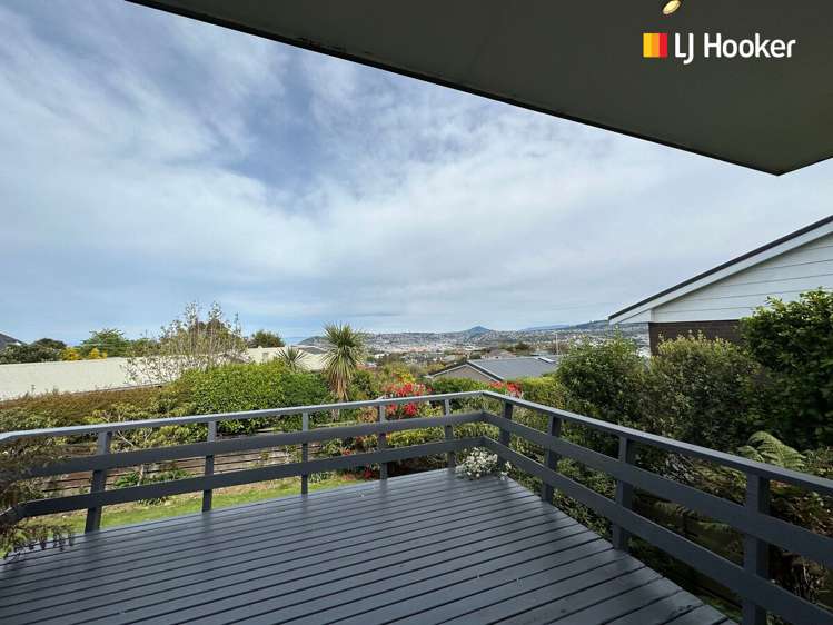 246 Larnach Road Waverley_19