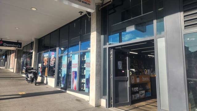 4 Williamson Avenue Grey Lynn_1