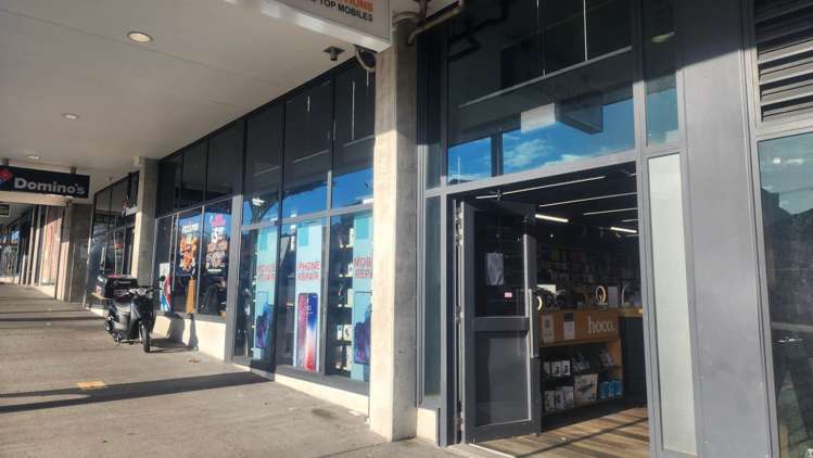 4 Williamson Avenue Grey Lynn_1