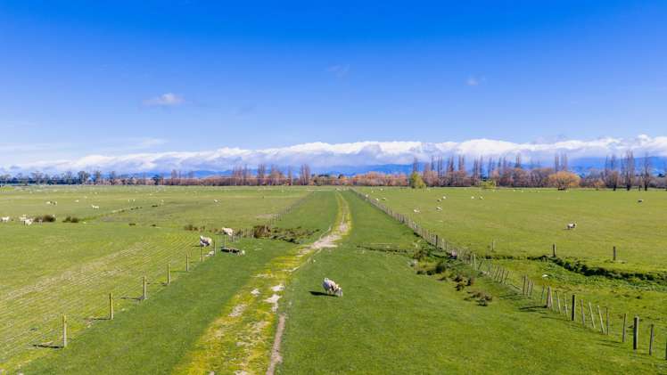3962 State Highway 2 Takapau_18