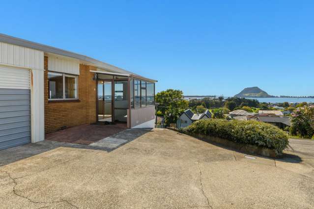17a Seaview Road Otumoetai_2