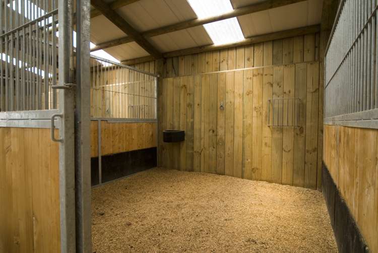 291 North Road Clevedon_28