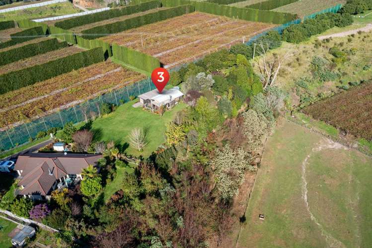 3 Donelle Place Te Puke_12