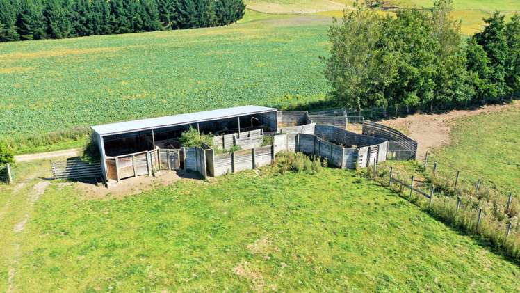 41 Otaria Road Gore Surrounds_10