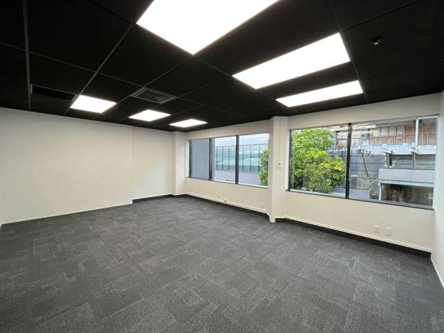 9A Hargreaves Street Freemans Bay_3