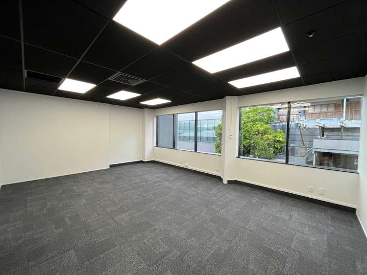 9A Hargreaves Street Freemans Bay_3