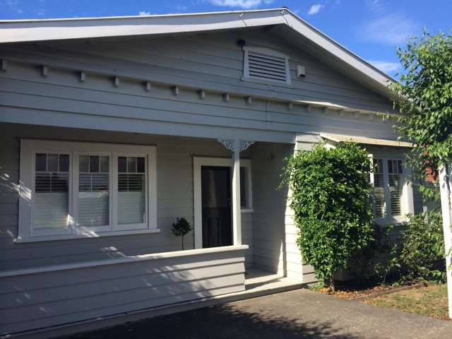 15 Old Mill Road Grey Lynn_1