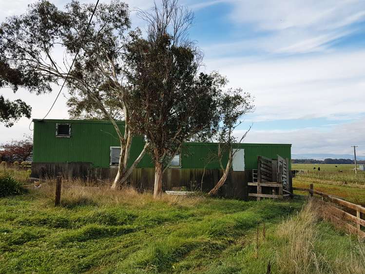 221 Troup Road Woodville_5