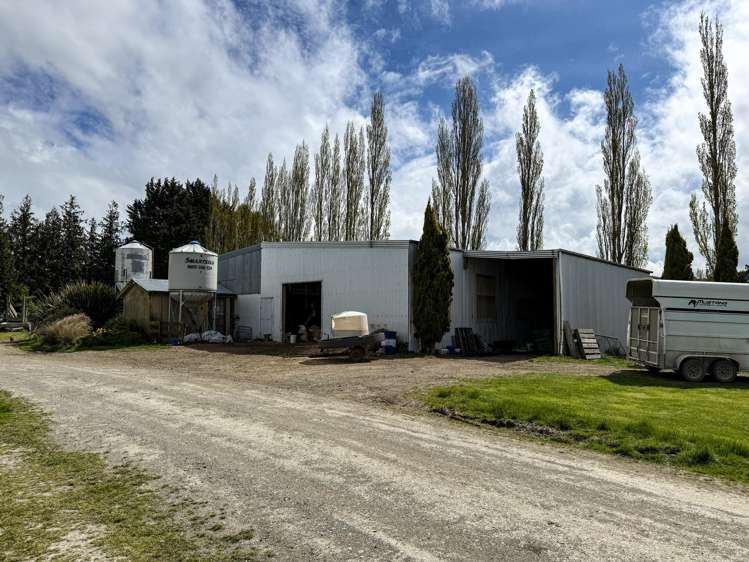 307 Okapua Road Chatton North_7