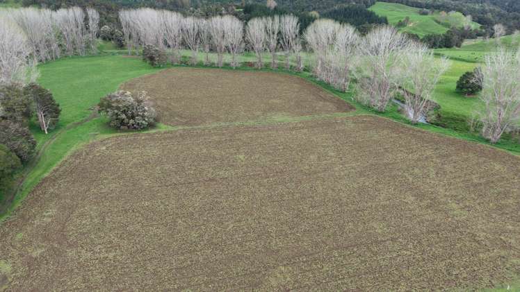 3675 Mangakahia Road Pakotai_8