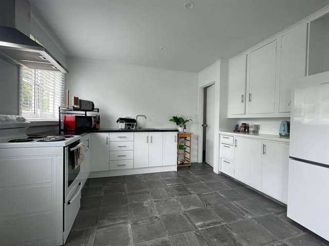 15B Martin Road Outer Kaiti_2