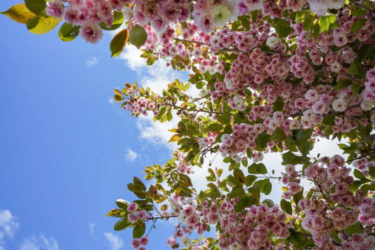 2106 Riverton-Otautau Road Otautau_11