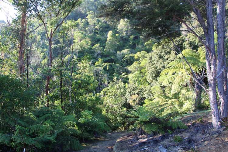 20 Russell Street Picton_7