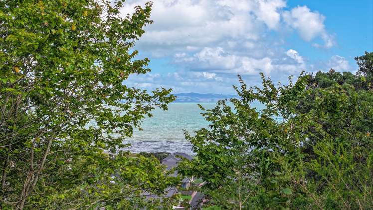 107 Victoria Street Thames_14