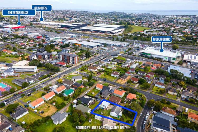 54 Potter Avenue Mt Roskill_8