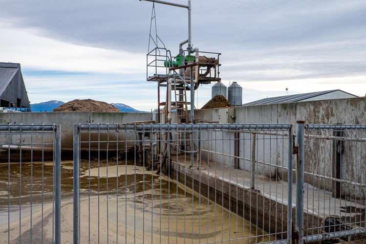 1444 Maronan Valetta Road Westerfield_21