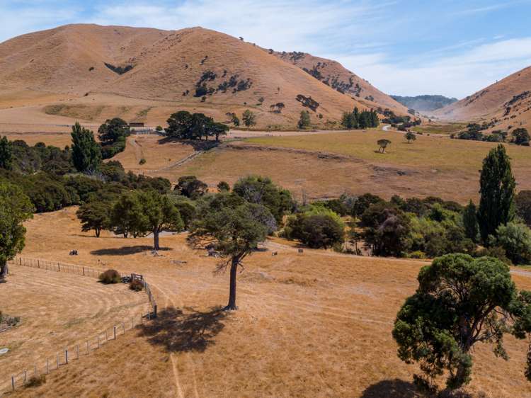 354 Blue Rock Road Ruakokoputuna_18