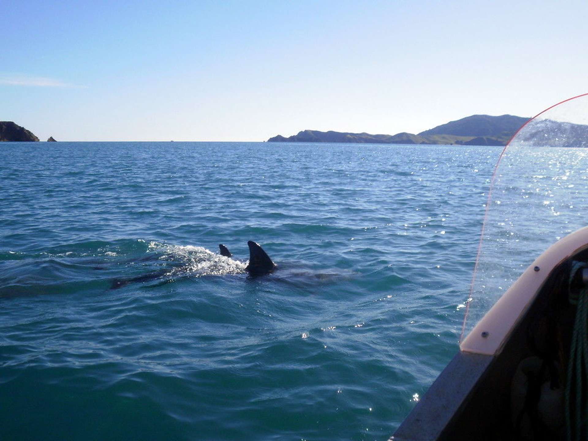 5497 Croisilles-French Pass Road Marlborough Sounds_0