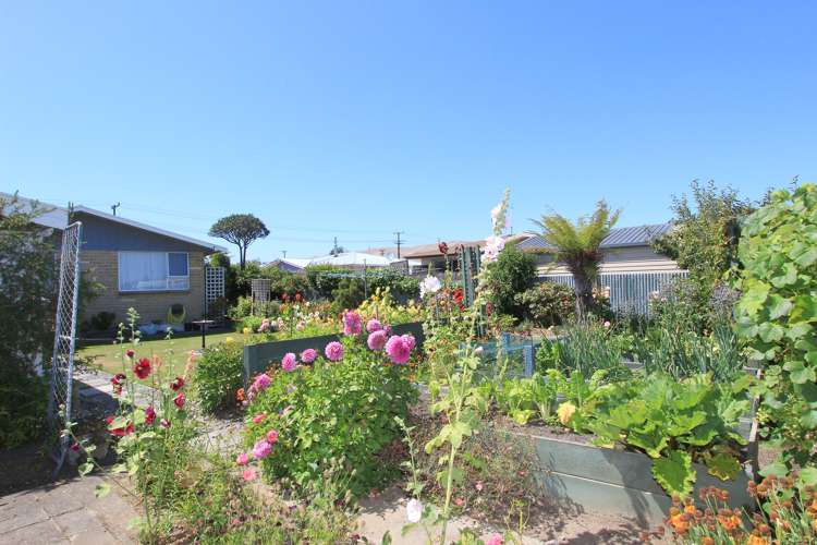 50 Howick Road Redwoodtown_12