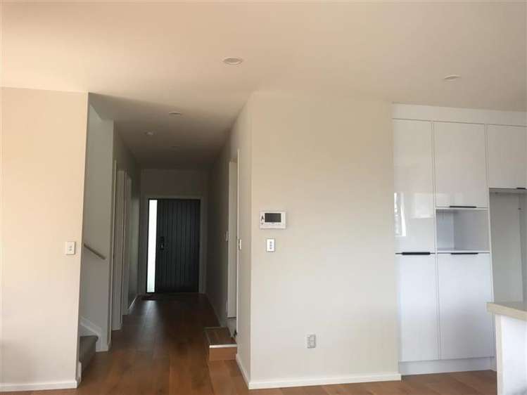 20 Evelina Lane Flat Bush_9