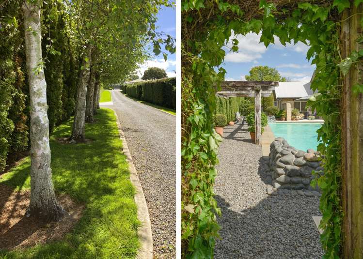 41A Hollister Lane Ohauiti_13