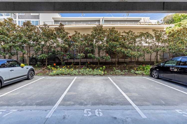 307/19 Bute Road Browns Bay_20