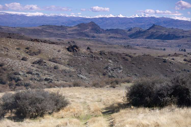 Ida Valley-Omakau Road Ophir_3