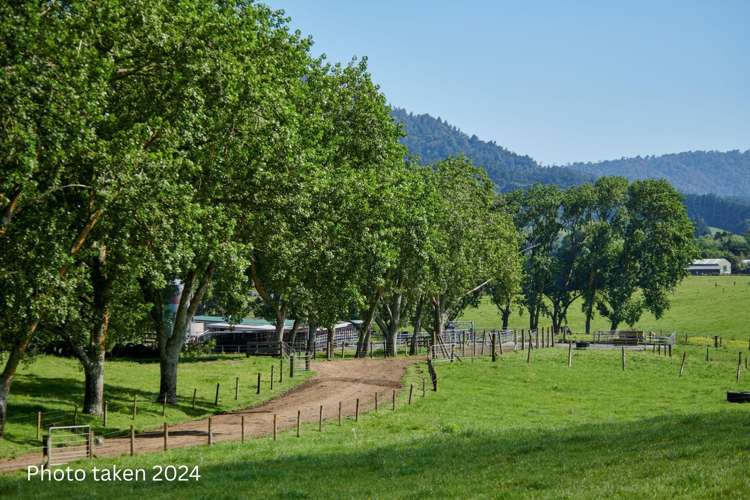 165B Te Puroa Road Ngaruawahia_8