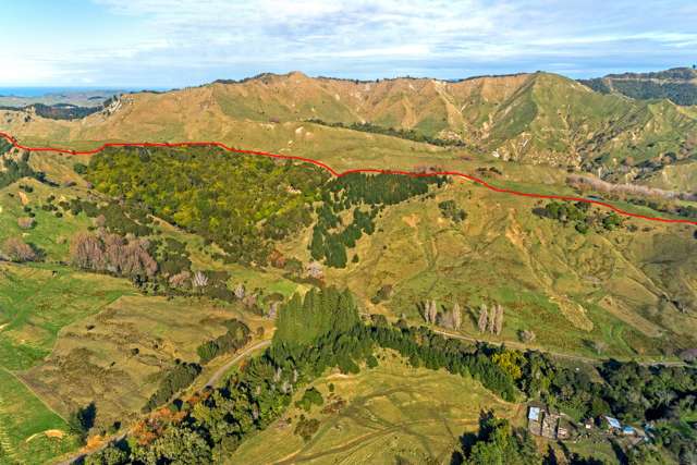 758 Glenroy Road Whangara_3