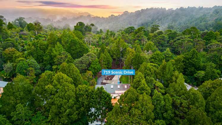 719 Scenic Drive Henderson Valley_19