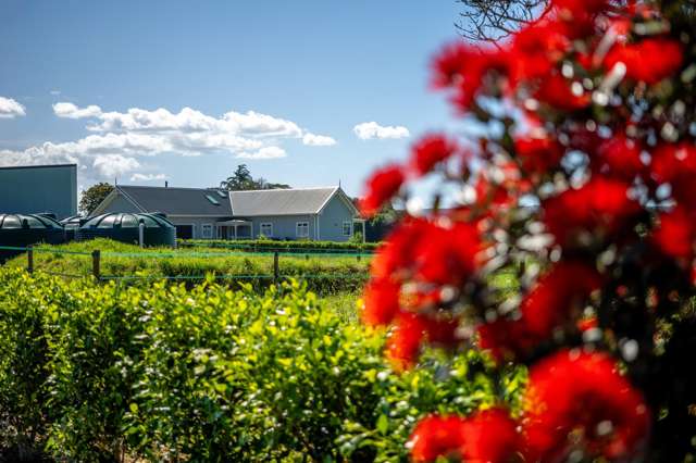 355a Waikaramu Road Kerikeri_4