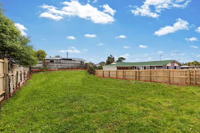 20a Subritzky Avenue Mount Roskill_2