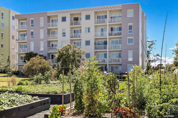 110/9D Jordan Avenue Onehunga_15